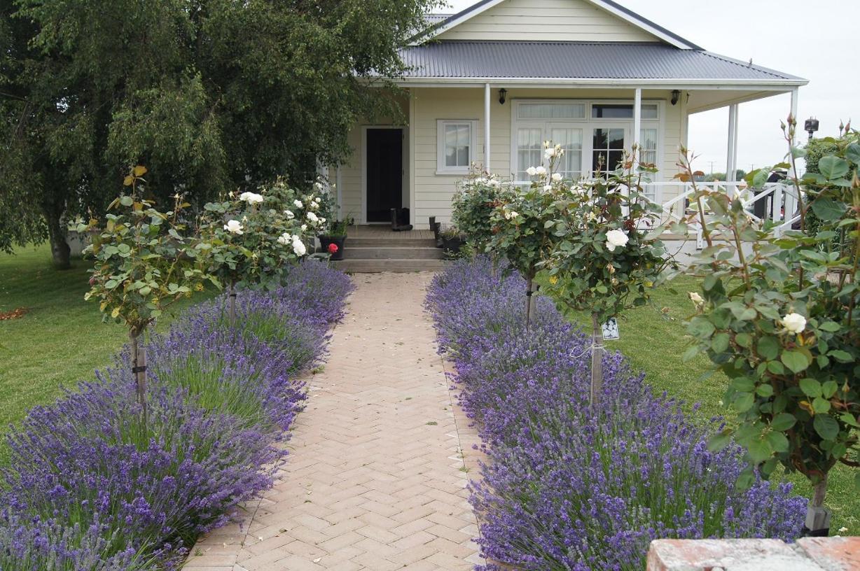 Temuka Oliver'S Farmstay المظهر الخارجي الصورة