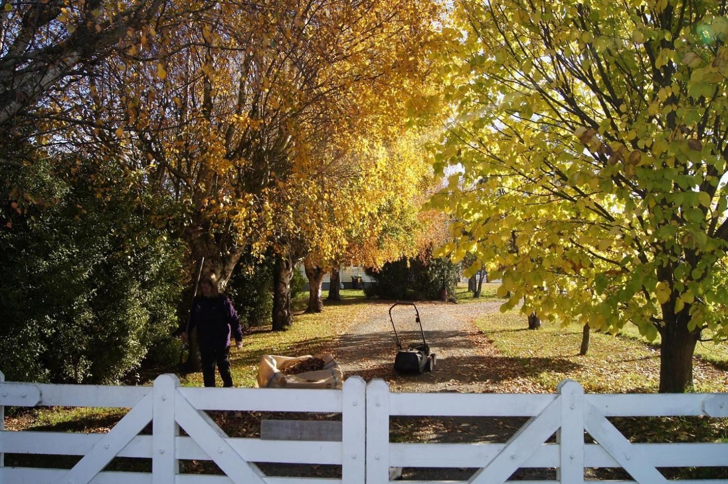 Temuka Oliver'S Farmstay المظهر الخارجي الصورة